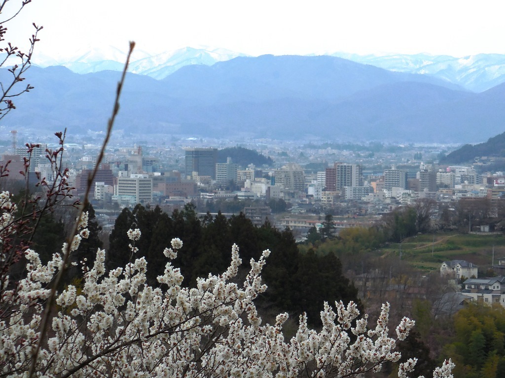 福島花見山