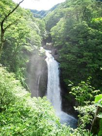 秋保大滝