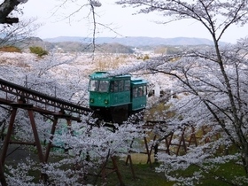 船岡城址公園 桜 スロープカー.jpg