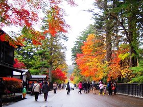 角館11月紅葉.jpg