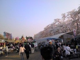 角館 春3.jpg